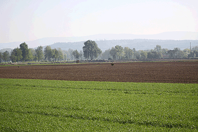 20090425-095.gif