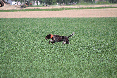20090425-169.gif