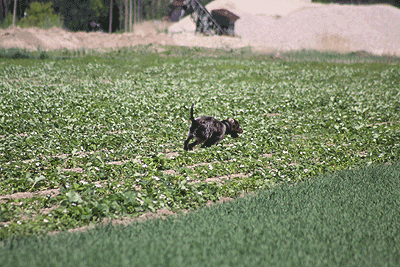 20090425-193.gif