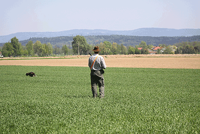 20090425-214.gif