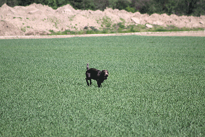 20090425-246.gif