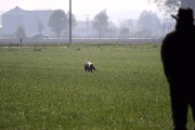 20090425-115.gif