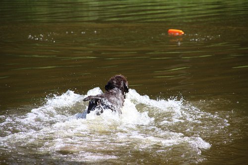20090801 037.jpg