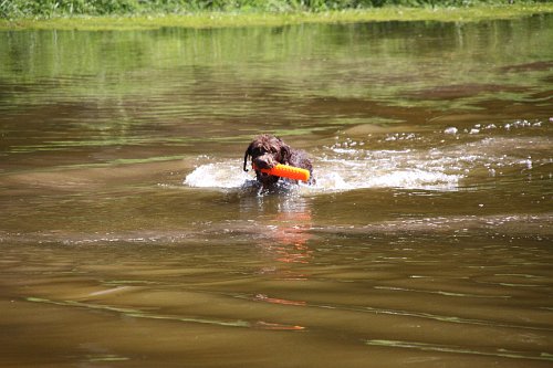 20090801 048.jpg
