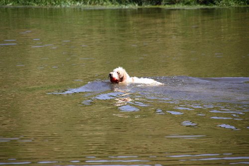 20090801 059.jpg