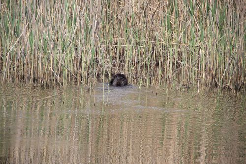 2011_05_14_156.JPG