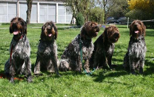 Familienbild