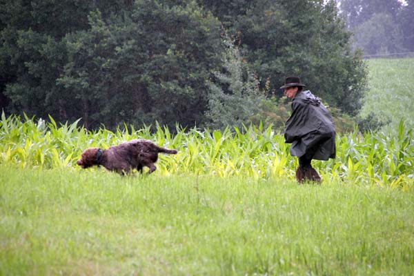 IMG_5012.jpg