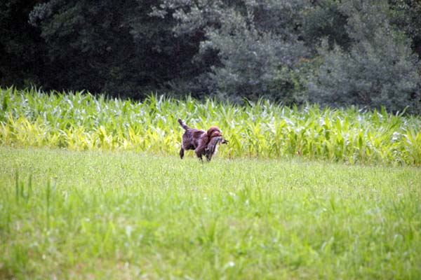 IMG_5016.jpg