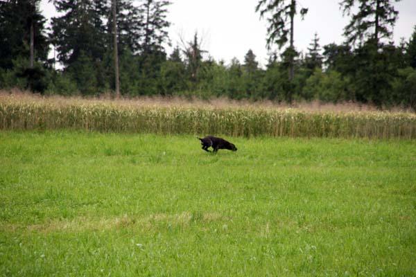 IMG_5031.jpg