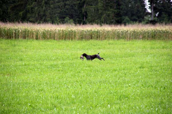 IMG_5033.jpg