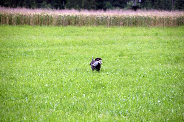 IMG_5035.jpg