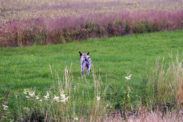 IMG_5083.jpg