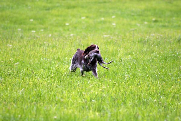 IMG_5121.jpg
