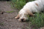IMG_4969.jpg