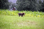 IMG_5018.jpg