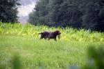 IMG_5019.jpg