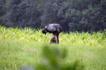 IMG_5022.jpg