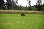 IMG_5031.jpg