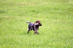 IMG_5055.jpg