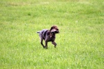 IMG_5056.jpg