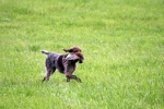 IMG_5057.jpg