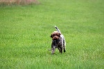 IMG_5089.jpg