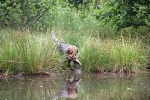 IMG_5148.jpg