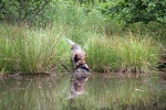 IMG_5149.jpg