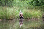 IMG_5150.jpg