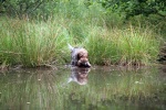 IMG_5151.jpg