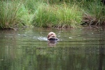 IMG_5156.jpg
