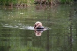 IMG_5157.jpg