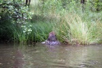 IMG_5189.jpg