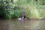 IMG_5190.jpg