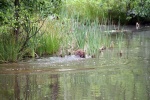 IMG_5191.jpg