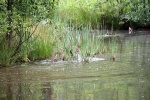 IMG_5192.jpg
