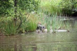 IMG_5193.jpg