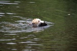 IMG_5217.jpg