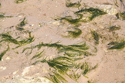 2008_08_23_0043.jpg