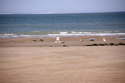 2008_08_23_0046.jpg