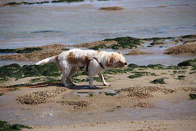 2008_08_23_0051.jpg