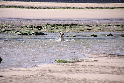 2008_08_23_0061.jpg