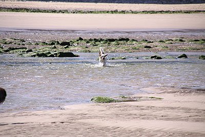 2008_08_23_0062.jpg