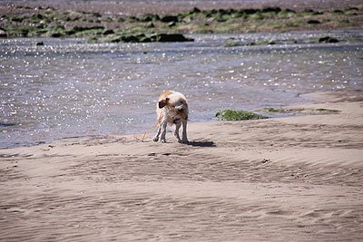 2008_08_23_0072.jpg