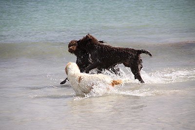 2008_09_04_0758.jpg