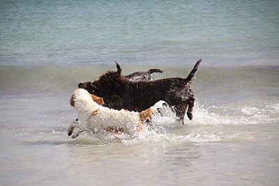 2008_09_04_0759.jpg