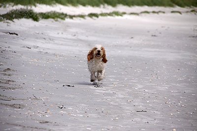 2008_09_04_0784.jpg