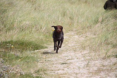 2008_09_04_0830.jpg
