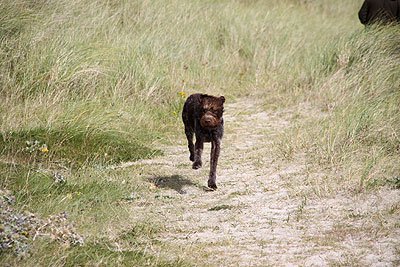 2008_09_04_0831.jpg